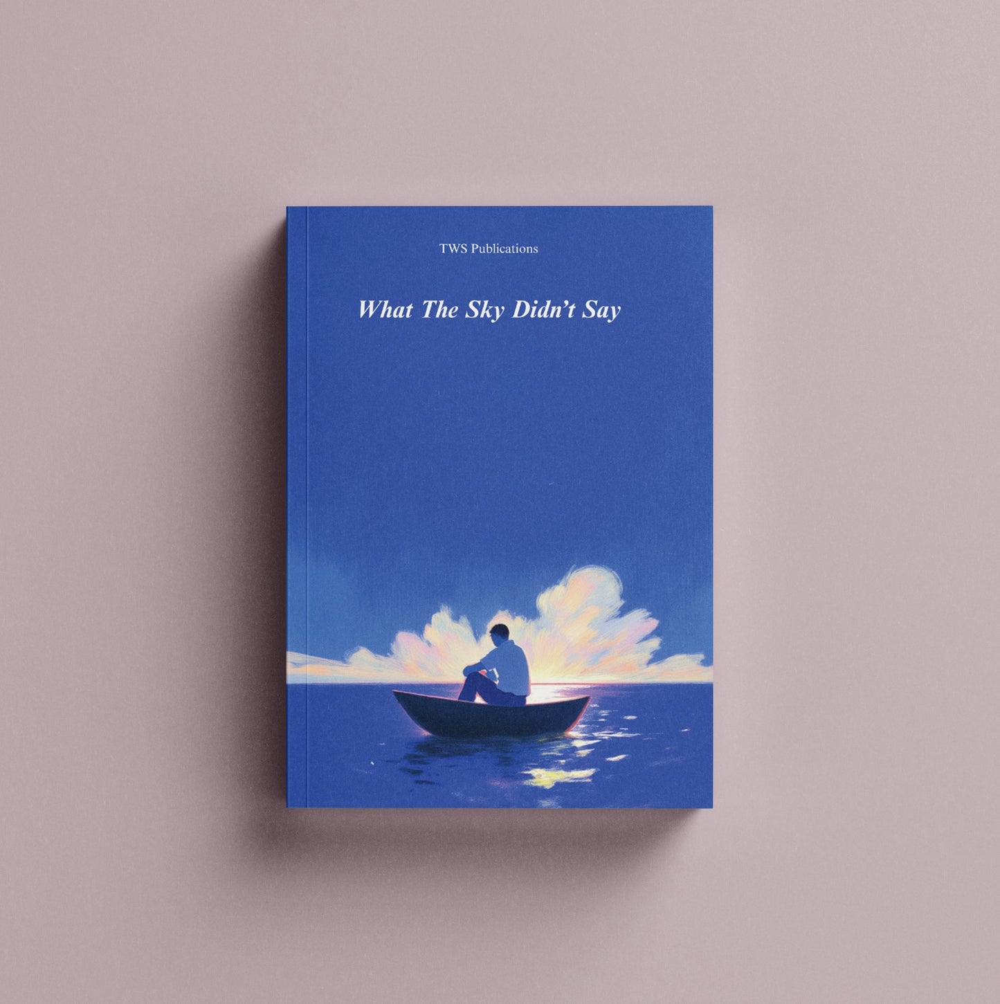 What The Sky Didn't Say