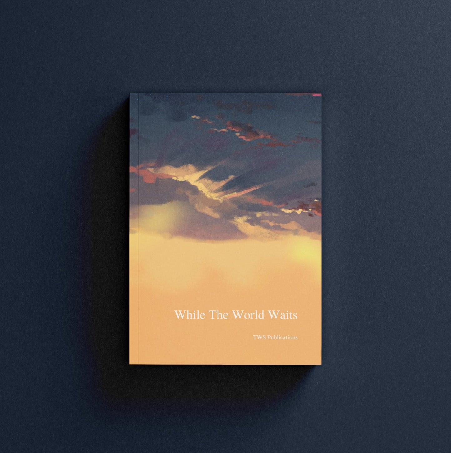 While The World Waits