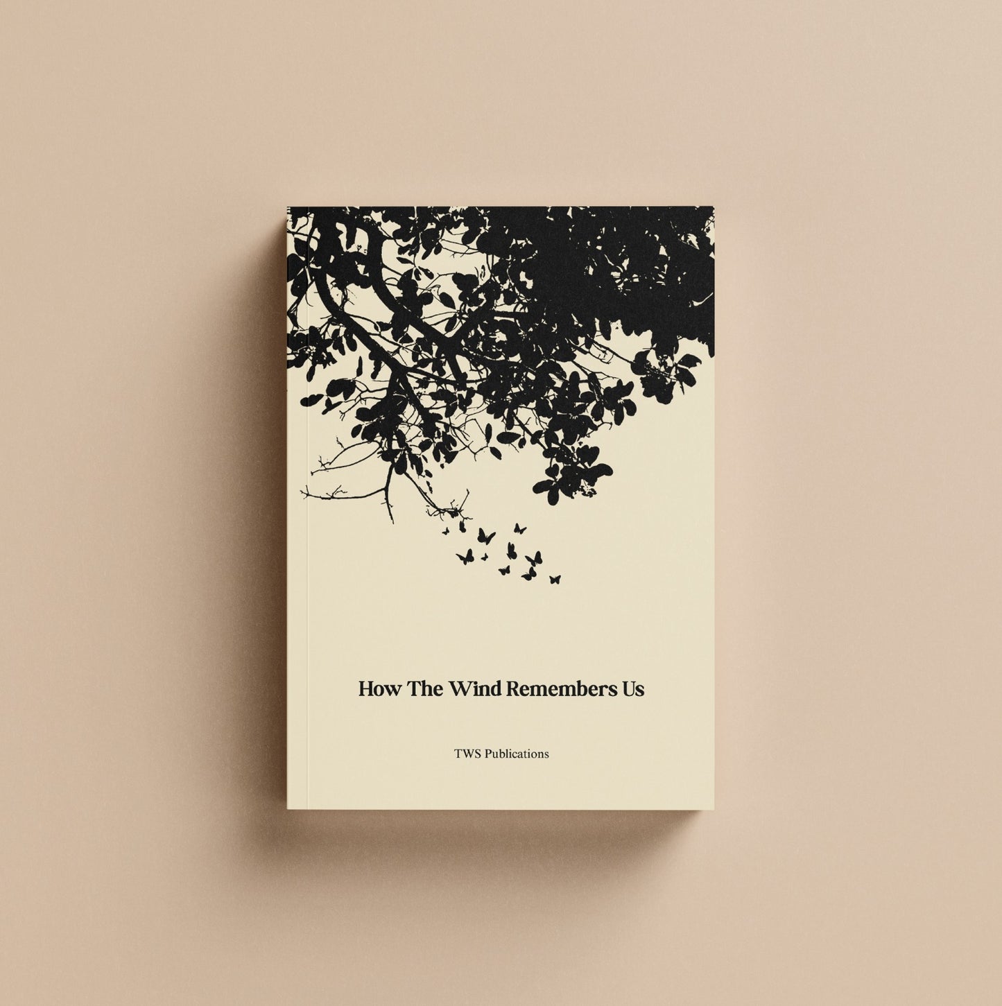 How The Wind Remembers Us