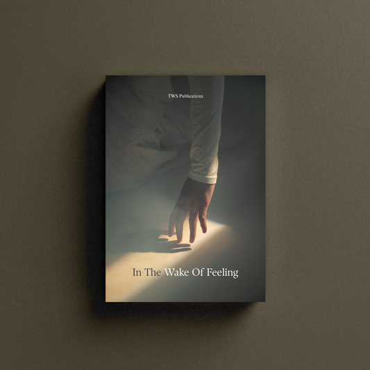 In The Wake Of Feeling