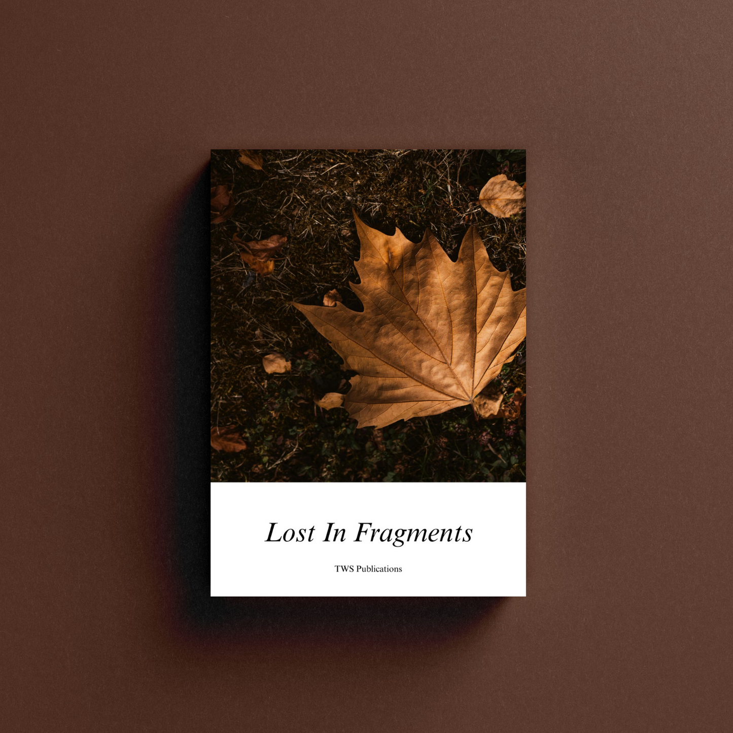 Lost In Fragments