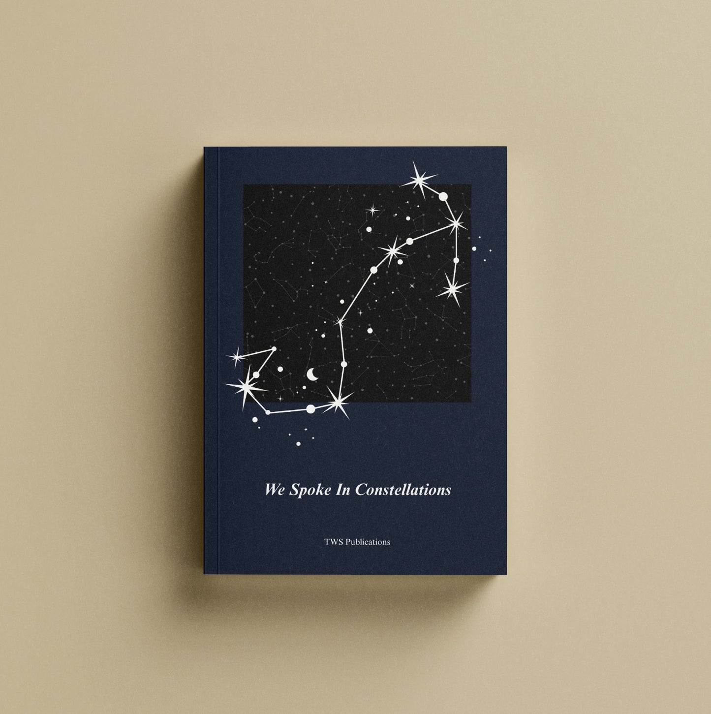 We Spoke In Constellations