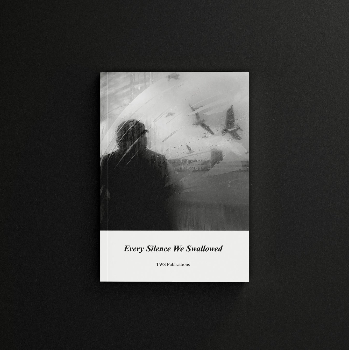 Every Silence We Swallowed