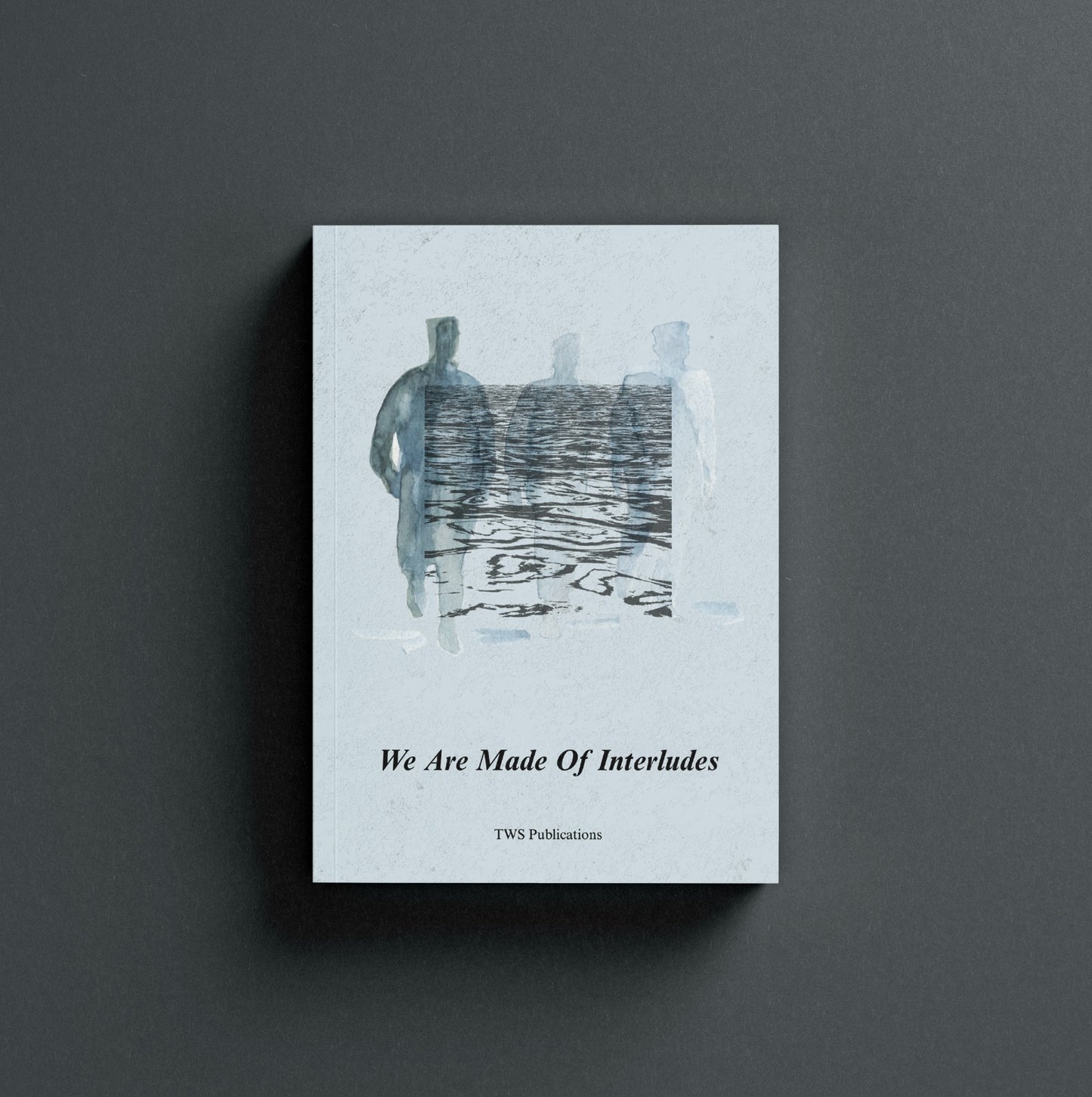 We Are Made Of Interludes