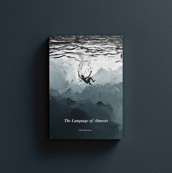 The Language Of Almosts — book cover