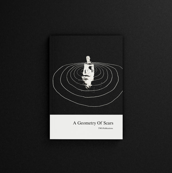 The Geometry Of Scars — book cover