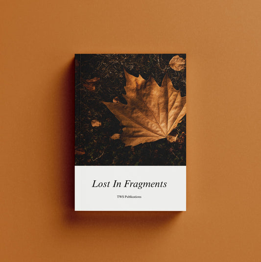 Lost In Fragments