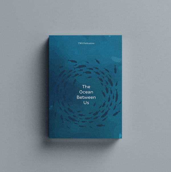 The Ocean Between Us — book cover