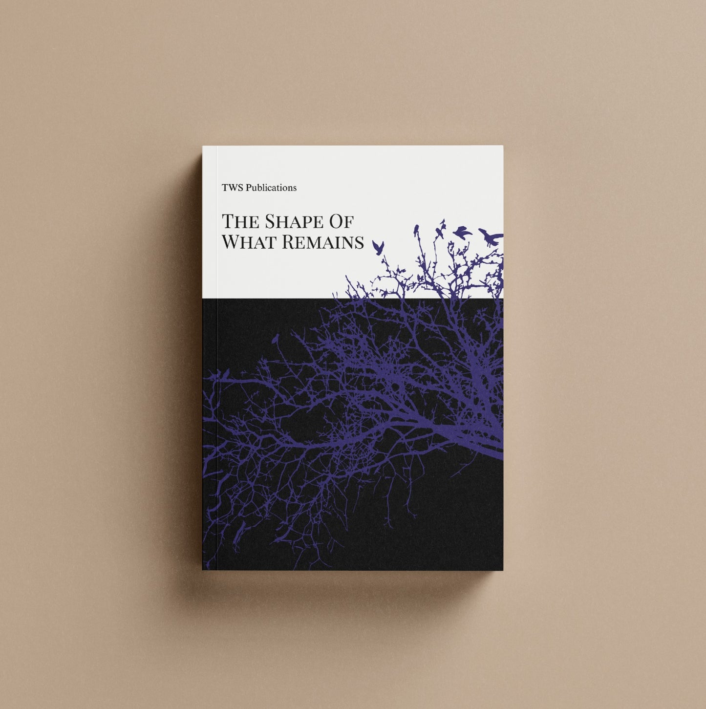 The Shape Of What Remains