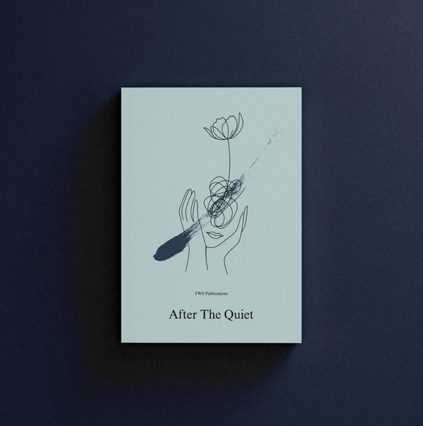 After The Quiet — book cover