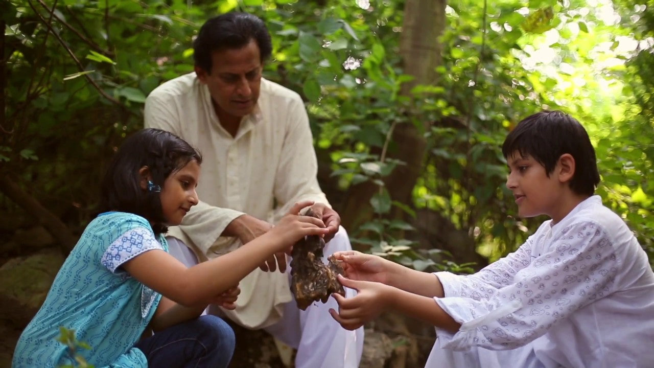 The Story of A Banyan Tree