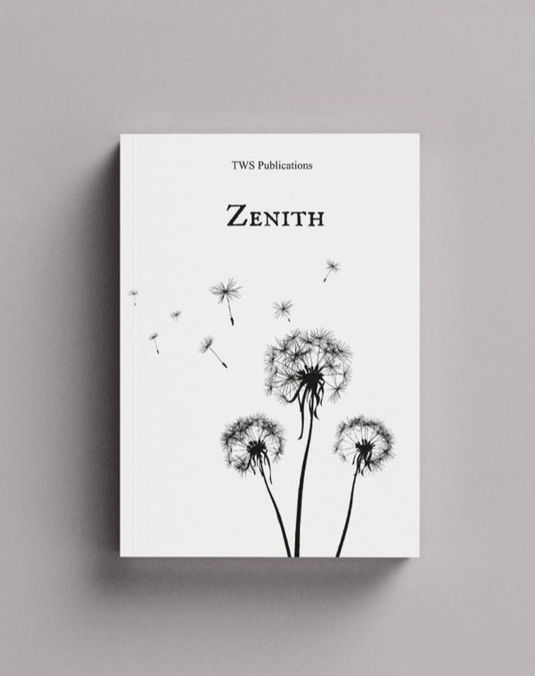 Zenith — book cover